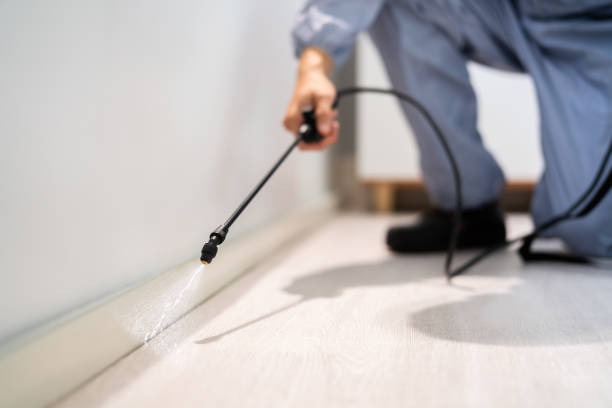 Licensed Ant Control service in Burke County County, GA - Nex Pest Control