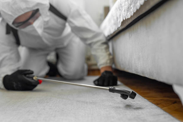 Professional Ant Control technician working in Burke County County, GA